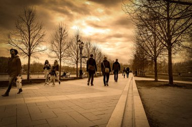 Ağaçların arasında parktaki patika.