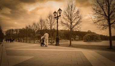 Ağaçların arasında parktaki patika.