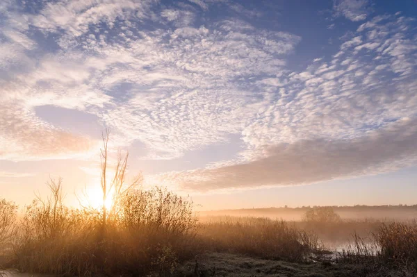 Morgendämmerung Über Dem Fluss Einem Sommermorgen Nebel Über Dem Feld — Stockfoto