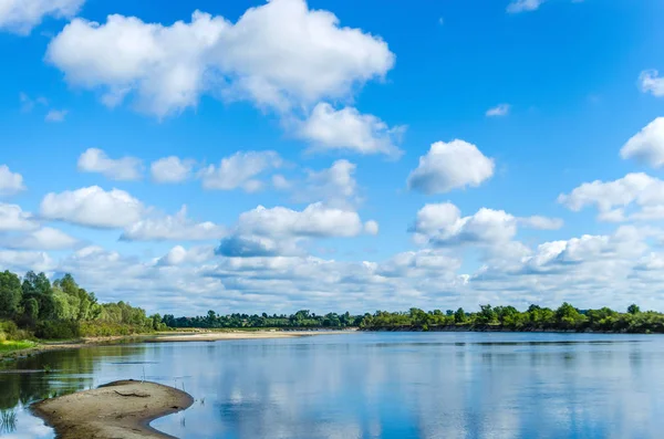 A wide river flows along a diagonal bank with a forest under an incredibly beautiful blue sky with large clouds that are reflected in the water. Belarusian Polesie. Pripyat National Park