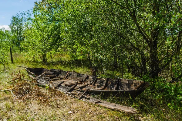 Old broken abandoned wooden fishing boat. Forest background of green trees and pines. Beached