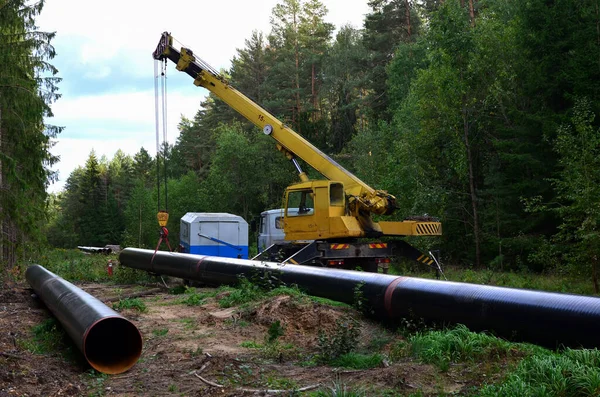 Crane lowers a section of pipe into a trench. Construction of gas pipeline to new LNG plant. Operation install natural gas pipeline and oil pipes