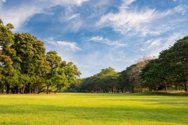 Sabah bulutlu doğal parklar ve gökyüzü.