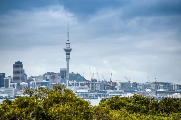 Krásné fotografie města Auckland se spoustou jeřáby stavební bytové výstavby — Stock fotografie