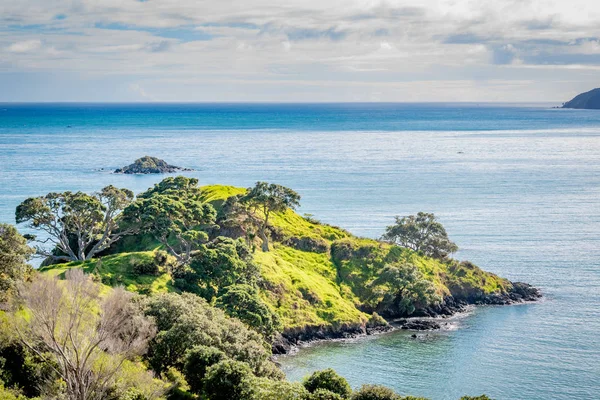 在新西兰远北无庸置疑的海湾美丽的海岸徒步旅行 — 图库照片