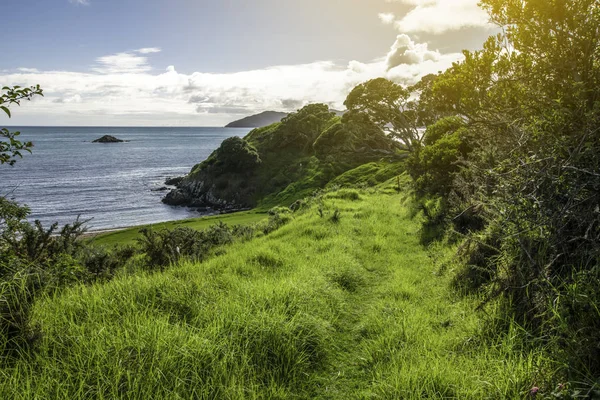在新西兰远北无庸置疑的海湾美丽的海岸徒步旅行 — 图库照片