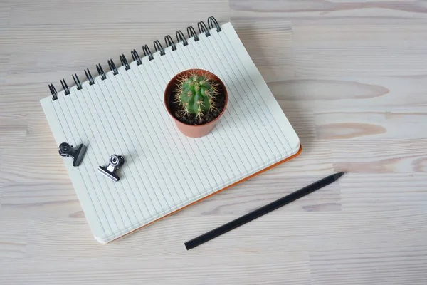 Mini Panela Cacto Lápis Preto Notebook Clipes Metal Mesa Madeira — Fotografia de Stock