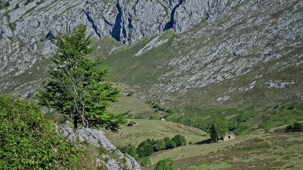 Wakacje Picos Europa Asturias Hiszpania — Zdjęcie stockowe