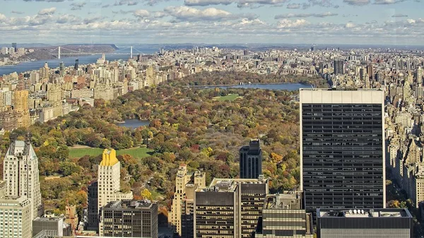 Central Park top view, New York