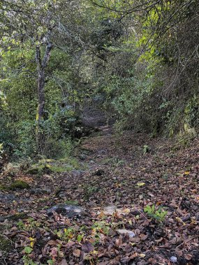 San Paio de Abeleda, Ourense eski evde