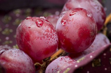 Bordeaux bez bir parça üzerinde bazı üzüm shot