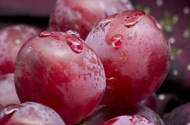 Bordeaux bez bir parça üzerinde bazı üzüm shot