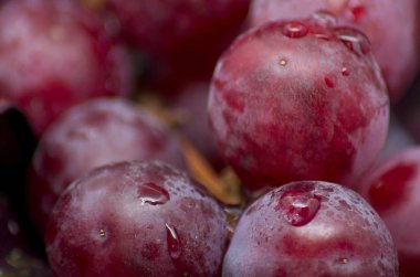 Bordeaux bez bir parça üzerinde bazı üzüm shot