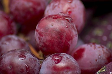 Bordeaux bez bir parça üzerinde bazı üzüm shot