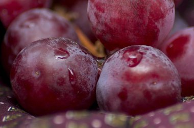 Bordeaux bez bir parça üzerinde bazı üzüm shot