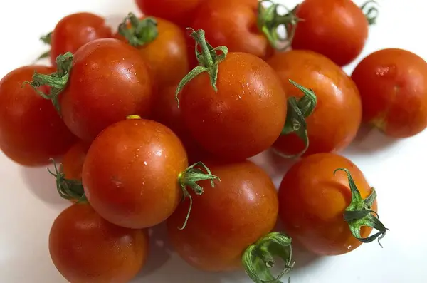 Gros Plan Sur Bouquet Tomates Cerises Fraîches — Photo