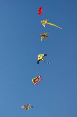 Plajda güneşli bir yaz akşamı renkli uçurtma