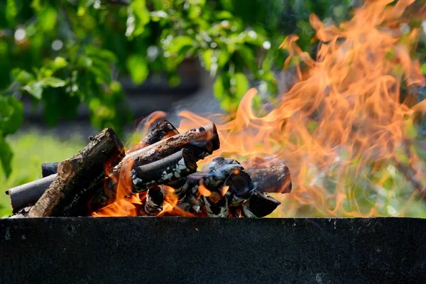 Close up of fire on chargrill. Dry sticks smoulder. Concept of cooking on grill