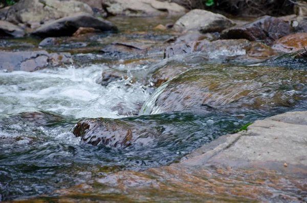 The course of the forest river