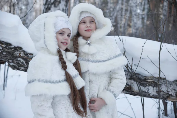 Κορίτσια με κοστούμια μέσα στο δάσος του χειμώνα — Φωτογραφία Αρχείου