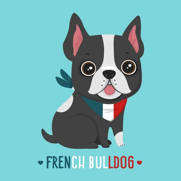 Fransız buldozer vektör simge köpek doğurmak. Köpek yavrusu Bulldog siyah ve Fransız bayrağı eşarp çiçekler.