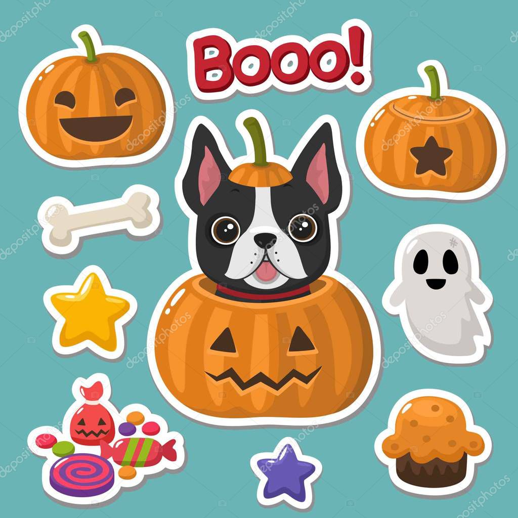 Vector set of Halloween icons stickers. In the picture the dog  French bulldog in a pumpkin, a pumpkin with a smile, a pumpkin with an evil face, candy, bones, ghost, stars, pumpkin pie 