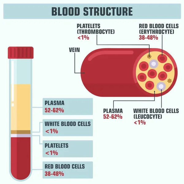 Science280.cdr — 스톡 벡터