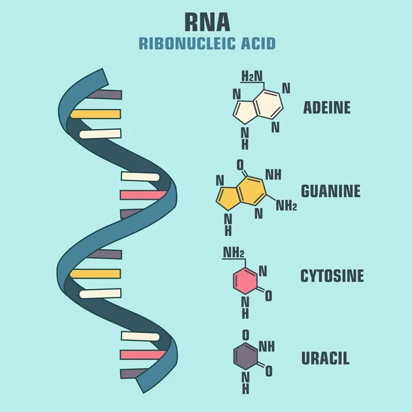 Science118. CDR — Stockvector