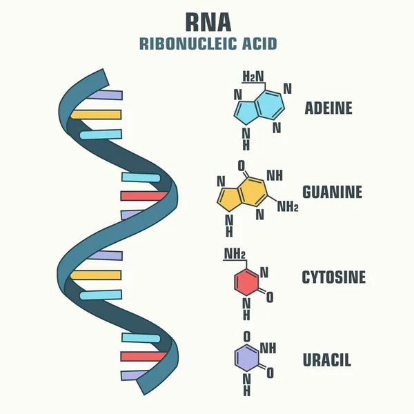 Science119. CDR — Stockvector