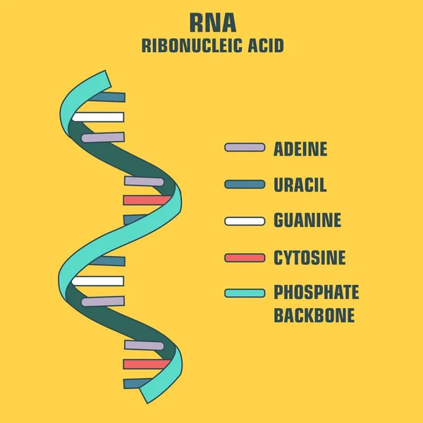 Science120. CDR — Image vectorielle