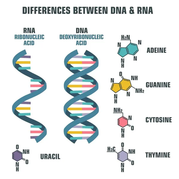 Science117. CDR — Stockvector