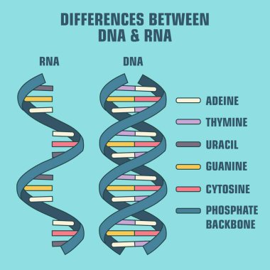 science112. cdr