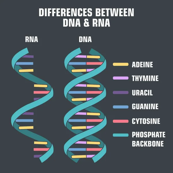 科学. cdr — 图库矢量图片