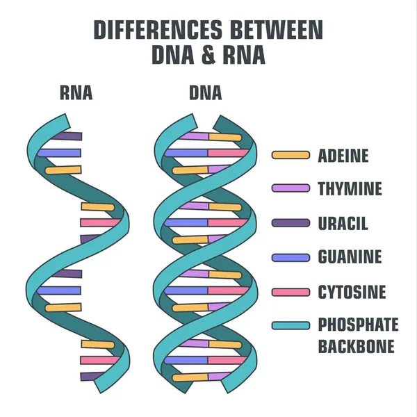 科学 110. cdr — 图库矢量图片