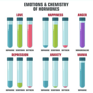 vector science icon emotion and chemistry of hormones. Image emotion hormones. Illustration hormones in flat style clipart