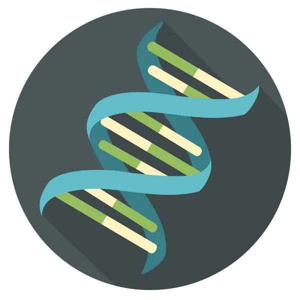 Dna分子的载体科学图标结构 扁平型Dna基因的图像螺旋分子 — 图库矢量图片