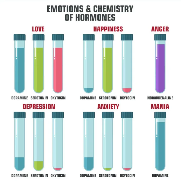 Vektor Wissenschaft Symbol Emotion Und Chemie Der Hormone Bild Emotionshormone — Stockvektor