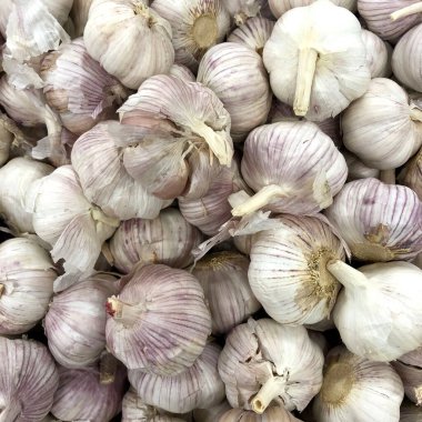 Makro fotoğraf sebzeli sarımsak. Stok fotoğraf sarımsak arka planı