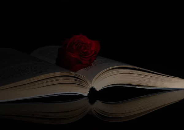 Book. Rose. Opened. Side. Light. Reflection. Black