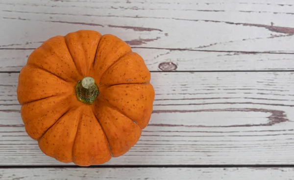 Pumpkin. Vegetable. Orange. Food. Season. Autumn. Fall