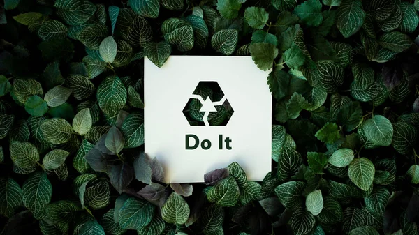 グリーン リサイクル 持続可能性の概念を実践する — ストック写真