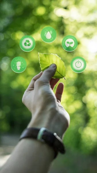 Ludzka Ręka Chwyta Liść Symbolami Zrównoważonego Rozwoju Wokół Koncepcja Zielonego — Zdjęcie stockowe