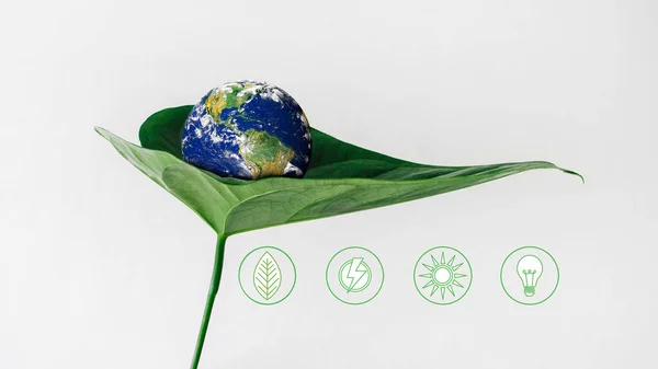 Uma Folha Abraça Globo Conceito Sustentabilidade Verde Salvar Globo — Fotografia de Stock