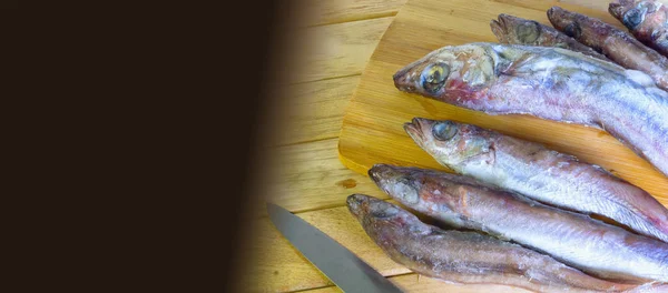 Fresh delicacy, carcass sea fish — Stock Photo, Image