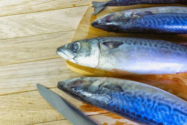 Ízletes friss tengeri halak hasított test — Stock Fotó