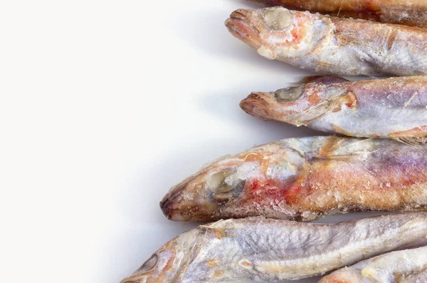 Fresh-frozen sea fish carcass — Stock Photo, Image