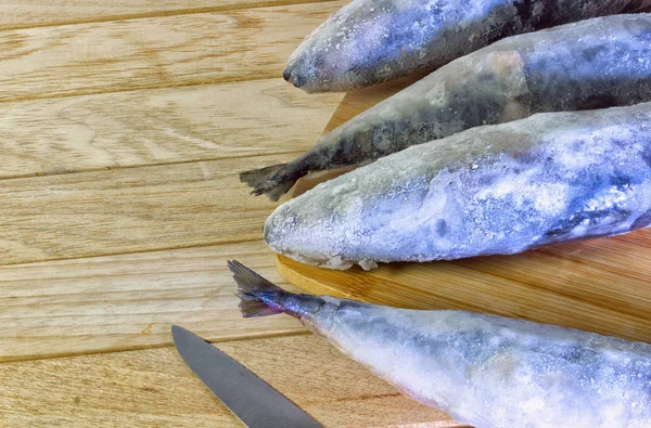 Pescado gourmet de mar fresco congelado —  Fotos de Stock