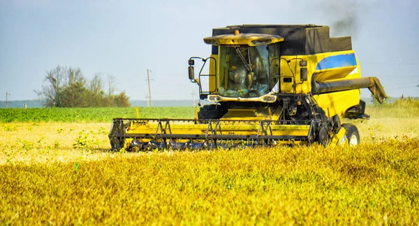 Combine colheitadeira colheita de trigo no campo — Fotografia de Stock