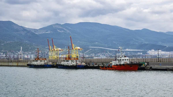 Porto di commercio marittimo, con molte navi agli ormeggi, panorama — Foto Stock