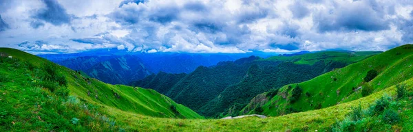 Prados Hierba Que Crecen Ladera Montaña —  Fotos de Stock